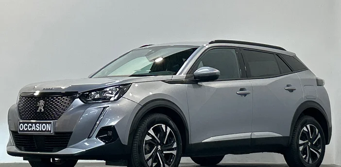 PEUGEOT 2008 BUSINESS
